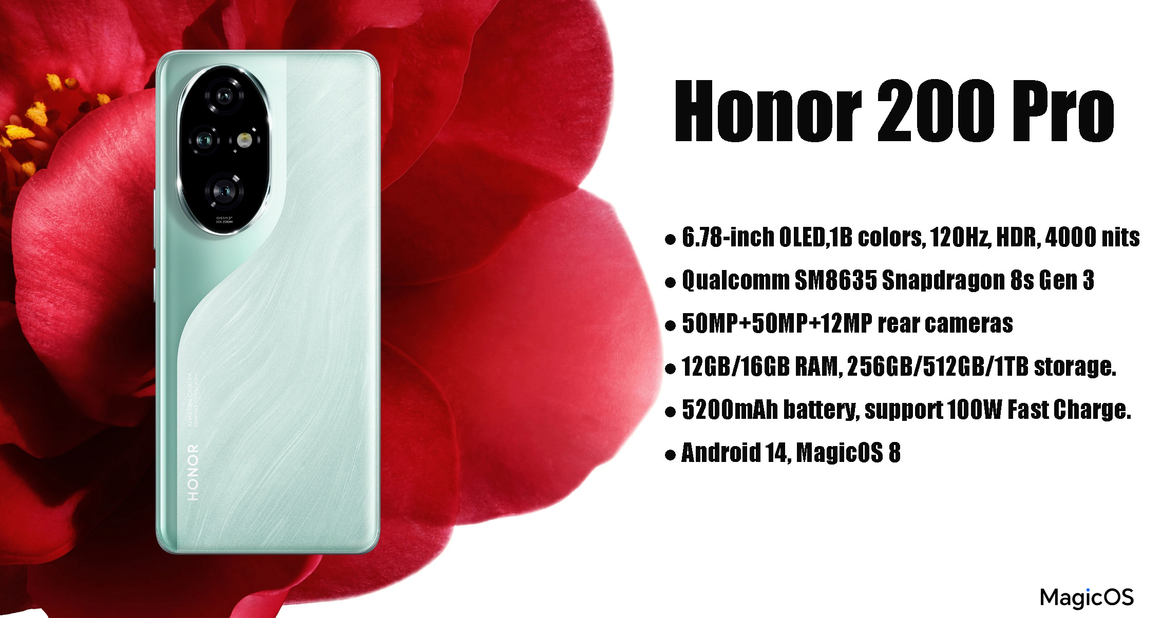 Honor 200 Pro