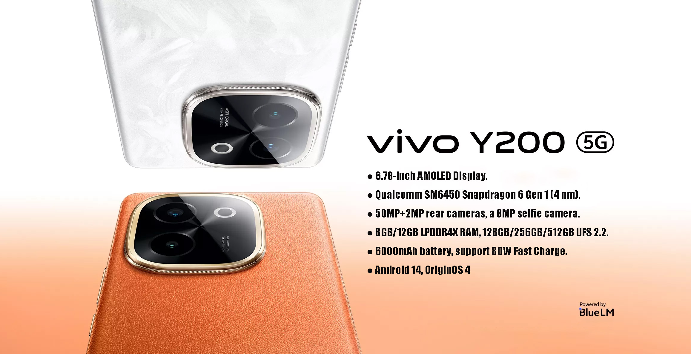 vivo Y200 2024